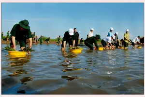 Ảnh dự thi “Vì môi trường xanh” (Phần 9) 