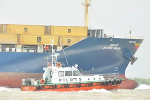 Chùm ảnh tàu biển vào TP.HCM qua luồng mới