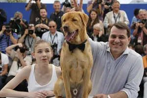 Chó được trao thưởng ở LHP Cannes