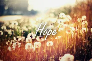 4 mẫu đàn ông cứ xác định "ế dài"