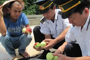 Hoa quả Trung Quốc không nhập vào Lạng Sơn
