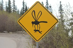 Những biển báo có một không hai trên cung đường Alaska