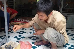 Đưa con đi thi, mang cả chim rừng xuống Thủ đô làm “lộ phí"