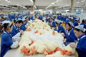 Trung Quốc và Hàn Quốc đối xử với công nhân tệ nhất thế giới