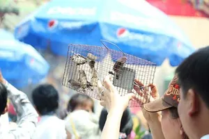 Tận diệt chim sẻ mùa Vu lan