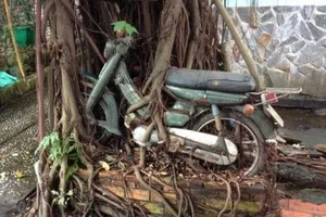 Ảnh vui trong ngày