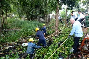 Ra quân chiến dịch Làm cho thế giới sạch hơn