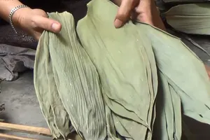 Chuyện lạ: Cả làng đổi đời nhờ nghề... nhặt lá tre