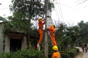 Tổng giám đốc phát ngôn hớ, EVN vội vàng đính chính