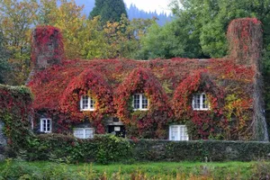 Màu của trời thu