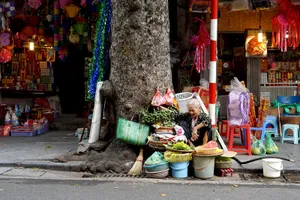 Kiểu mưu sinh độc đáo chỉ có ở Việt Nam