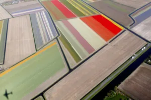 Những bức ảnh tuyệt đẹp chụp từ trên không