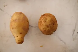 Cách phân biệt củ quả Trung Quốc