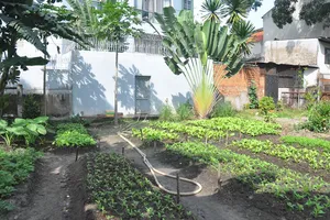 Chiếm đất công viên Gia Định trồng rau xanh!