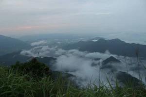 Chùm ảnh: Non tiên Bạch Mã lúc bình minh