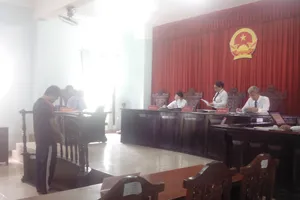 Trộm cây mai nhà hàng xóm mà quên xóa dấu vết