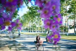 Chùm ảnh TP Tam Kỳ 'đẹp ngất ngây'