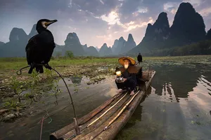 Những bức ảnh đẹp nhất năm 2015