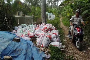 4 tấn gia vị thối đã được nông dân xin về bón cây