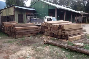 Phát hiện gần 18 m3 gỗ vô chủ được kết bè thả trên sông Vu Gia