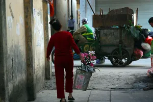 Đào tết 'phơi mình' héo tàn trên vỉa hè