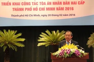 Nhiều bản án có thể góp phần phát triển án lệ