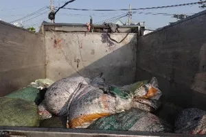 Bắt xe từ trung tâm giết mổ đổ rác 'chui' 