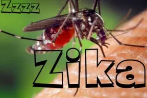 Chưa phát hiện trường hợp nhiễm virus Zika tại Việt Nam