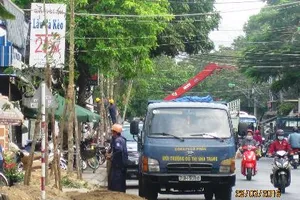 Chặt hạ cây sữa trồng cây dầu