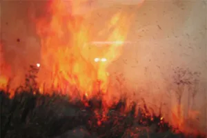 Cháy 15ha rừng vườn quốc gia U Minh Hạ