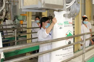 Ngân hàng Nhà nước thông qua đề xuất 'cứu' Hoàng Anh Gia Lai