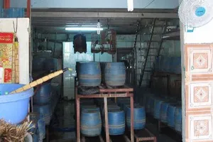 Một cơ sở trồng giá đỗ bằng hóa chất Trung Quốc