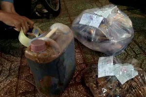 Phát hiện giá đỗ 'tắm' chất kích thích và thuốc tẩy trắng