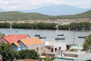 Ngắm rừng đước xanh mướt dọc làng chài vừa được hồi sinh 