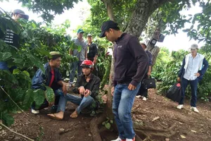 Thực nghiệm hiện trường vụ sát hại bé gái giấu xác