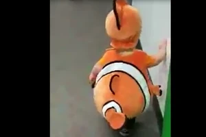 Thích thú với chú cá Nemo đáng yêu trên đường phố