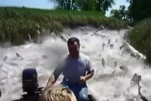 Trố mắt với dòng sông cá quẫy lên tận canô
