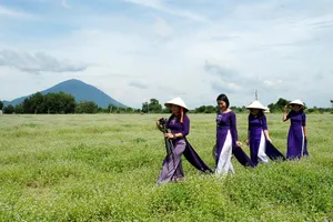 Bất ngờ với đồng hoa dại giữa lòng TP Tây Ninh