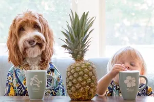 Tan chảy với cặp đôi bé-cún cực đáng yêu