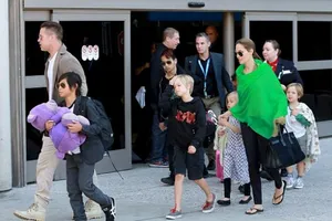 Brad Pitt bị tước quyền thăm các con