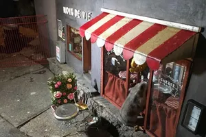 Ngộ nghĩnh những ngôi nhà chuột trên phố Thụy Điển