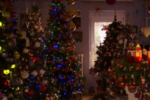 Phủ kín nhà bằng 110 cây thông để đón Giáng sinh