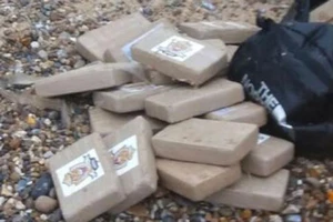 Tìm thấy 360 kg ma túy trôi dạt trên bờ biển 