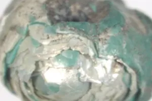 Giữ cổ vật 60 năm trời, bất ngờ phát hiện ngọc trai