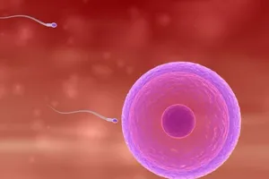 5 cách tăng số lượng tinh binh cho quý ông