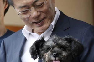 Tổng thống Hàn Quốc 'giải cứu' cún bị bỏ rơi