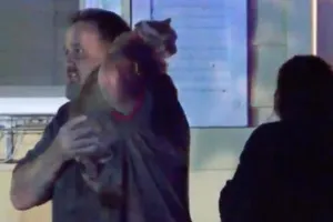 Chú mèo thông minh cứu cả gia đình thoát vụ hỏa hoạn