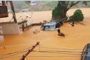 Hơn 400 người chết vì lở đất tại Sierra Leone