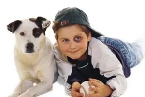 Những chú cún khuôn mặt giống chủ y hệt