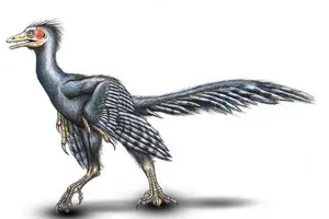 Giải mã bí ẩn loài chim cổ Archaeopteryx